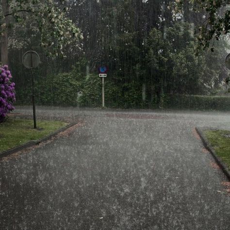 Smell Of Rain, Rainy Day Aesthetic, I Love Rain, Night Rain, Love Rain, Just Chilling, Goth Girl, Sound Of Rain, Rainy Weather