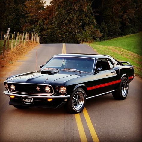 Ford Mustang 1969, Muscle Cars Mustang, 1969 Ford Mustang, Mustang Mach 1, Ford Mustang Fastback, Luxury Car Dealership, Mustang Cobra, Classic Mustang, Custom Muscle Cars