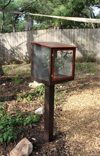 School Outdoor Area, Monarch Butterfly Habitat, Raising Monarch Butterflies, Monarch Butterfly Garden, Butterfly Garden Plants, Butterfly Habitat, Screen House, Backyard Garden Landscape, Hummingbird Garden