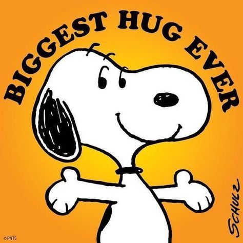 Snoopy Hug, Charlie Brown Quotes, Hug Quotes, Peanut Gang, Snoopy Funny, Peanuts Charlie Brown, Snoopy Images, Peanuts Cartoon, Snoopy Wallpaper