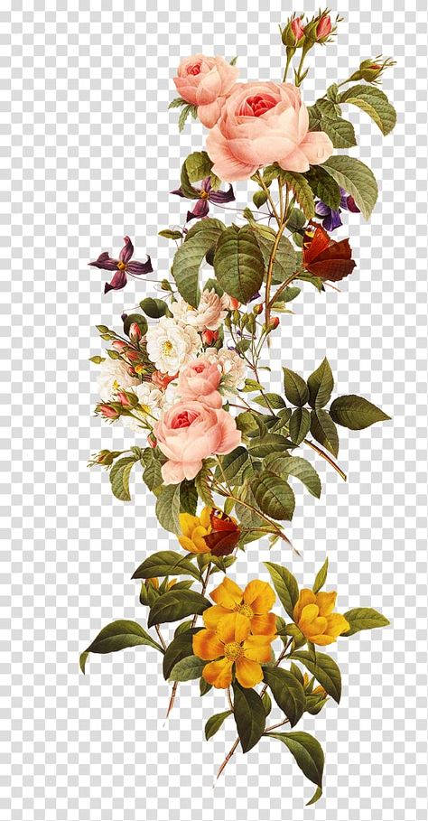 Colorful Flowers Bouquet, Flowers Transparent, Flower Png Images, Futurisme Retro, Flower Background Images, نباتات منزلية, Botanical Flower Art, Rose Illustration, Flower Collage