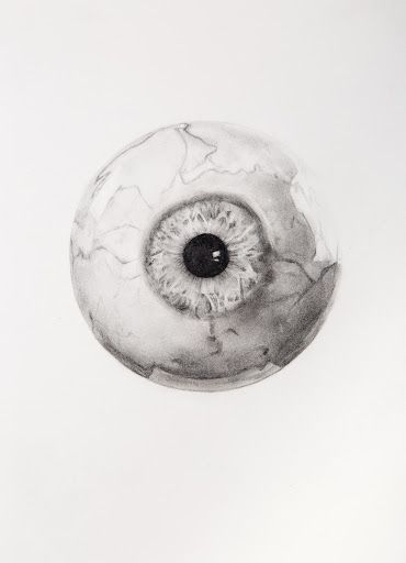 Eyeball - Caitlin Stone — Google Arts & Culture Eyeball Drawing, Royal Drawing, Video Drawing, Eyeball Tattoo, Sketchbook Assignments, Creepy Eyes, Eyeball Art, Creepy Drawings, Ball Drawing