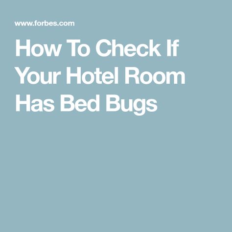 Kill Bed Bugs, Bed Bug Bites, Decrease Inflammation, Hotel Bed, Bed Bugs, Hotel Management, Stainless Steel Legs, Drying Clothes, Mattress Covers