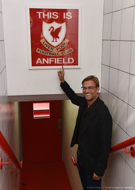 Juergen Klopp of FC Liverpool and Germany in Anfield Stadium. Liverpool Klopp, Football Pool, Klopp Liverpool, Juergen Klopp, Liverpool One, Liverpool Champions, Football Artwork, Liverpool Wallpapers, Liverpool Team