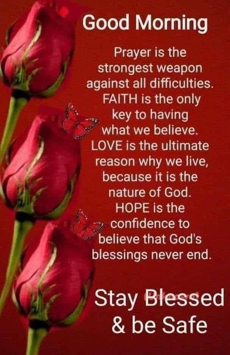 Happy Blessed Tuesday, Blessed Tuesday, Christian Good Morning Quotes, Good Morning Prayer Quotes, Good Morning Sweetheart Quotes, Good Morning Spiritual Quotes, Stay Blessed, Good Morning Sunshine Quotes, Morning Prayer Quotes