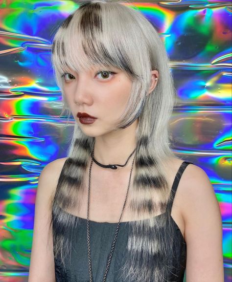 Raccoon Hair Dye, Dye Hairstyle, Punk Black And White, Raccoon Tail Hair, Emo Hair Color, White Raccoon, Emo Haircuts, Hair Color Options, Punk Hair