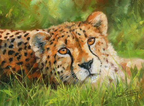 Cheetah Painting, Cheetah Wall Art, Wildlife Artists, Paint Rock, African Animals, The Grass, Art Market, Wall Art Canvas Prints, Big Canvas