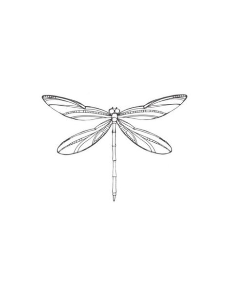 Simple Dragon Fly Tattoo Design, Dragon Fly Tattoo Fine Line, Dragon Fly Tattoo Simple, Dragonfly Tattoo Design With Flowers, Butterfly Stencils, Dragon Fly Tattoo, Dragonfly Tattoos, Fly Tattoo, Dragonfly Wallpaper