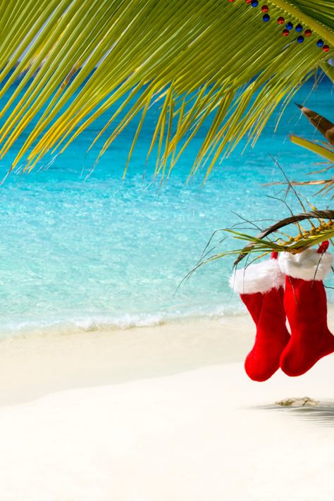 Santa On The Beach Pictures, Beachy Christmas Wallpaper, Tropical Christmas Wallpaper, Christmas Billboard, Holiday Season Aesthetic, Beach Christmas Pictures, Santa On The Beach, Christmas Theme Background, July Images