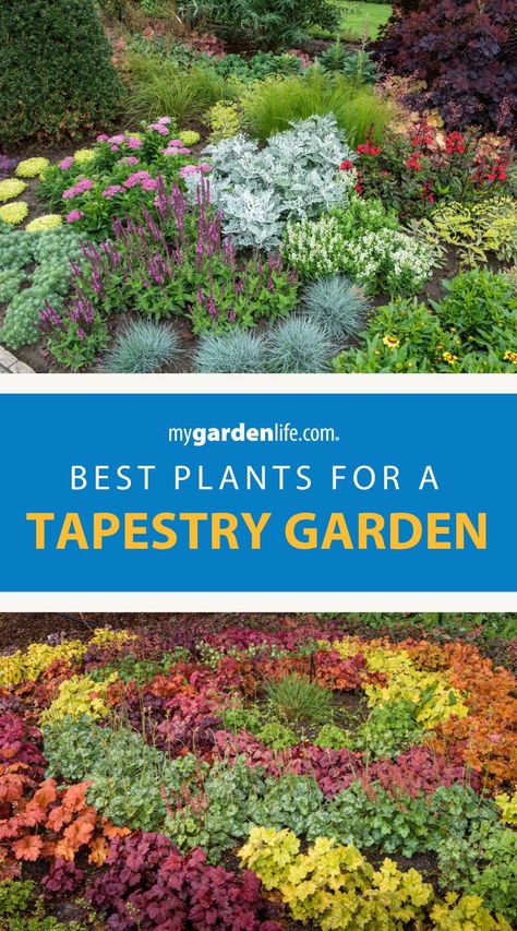 Looking to add texture and color to your landscape? Explore the best tapestry garden plants that create a stunning and unique design. Learn how to create a tapestry in your garden using a mix of plants for a layered and lush look. From ground covers to flowering plants, discover how to design the perfect tapestry lawn garden. Find more unique landscaping and garden design ideas at MyGardenLife.com. Tapestry Lawn, Tapestry Garden, Unique Landscaping, Creative Landscaping, Japanese Painted Fern, Best Perennials, Yard Landscape, Front Yard Garden Design, Garden Life