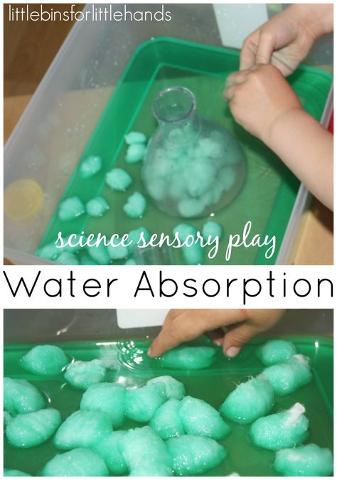 Water Sensory Science Experiment Water sensory science activity with cotton balls for water absorption! Water absorption is one of our classic science experiments. I have been wanting to add sensory science experiments to our play time. On several occasions, I have noticed that he has ... Preschool November, Easy Christmas Crafts For Toddlers, November Preschool, Thanksgiving Activities For Kindergarten, Sensory Science, Thanksgiving Games For Adults, Fun Thanksgiving Games, Games Thanksgiving, Thanksgiving Activities Preschool