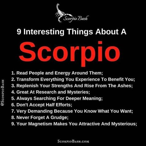 Scorpio Friends, Scorpio Truths, Scorpio Power, Scorpio Sagittarius Cusp, Scorpio Personality, All About Scorpio, Zodiac Quotes Scorpio, Scorpio Rising, Astrology Scorpio