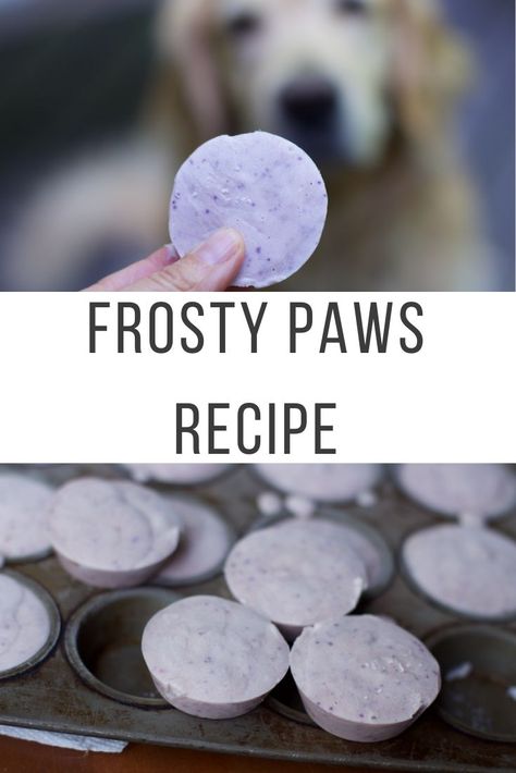 Frosty Paws Recipe, Homemade Frosty, Dog Ice Cream Recipe, Frozen Dog Treats Homemade, Frosty Paws, Frozen Dog Treats, Dog Biscuit Recipes, Dog Ice Cream, Easy Dog Treats