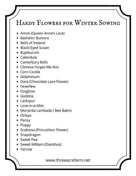 Winter Sowing Flowers, Shire Garden, Winter Sowing Seeds, Winter Sowing, Heating A Greenhouse, Sowing Seeds, Winter Gardening, Flower Farming, Flower Farmer