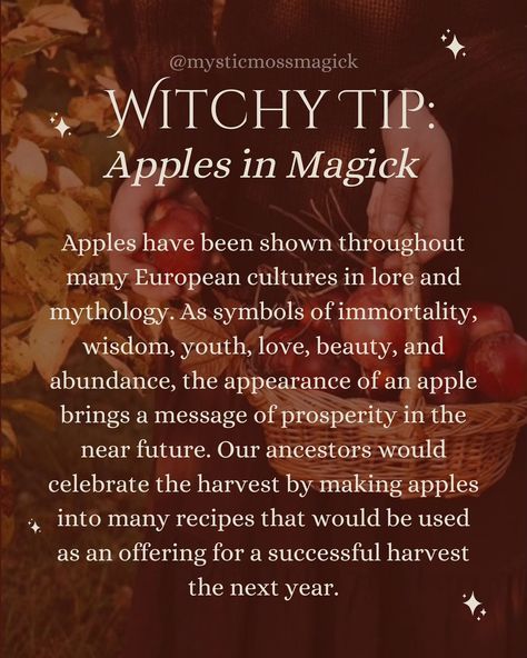 Apples can be used in spell work by drying them out, and placing them or their seeds as an offering. Traditions of simmer pots, and making wassail as well as other baked goods was used to celebrate abundance during the harvest season and as an offering to deities and gods to bring a successful harvest again the next year! 🍎✨🍁🌙 . . . #greenwitch #greenwitchcraft #kitchenwitch #kitchenwitchery #cottagewitch #hedgewitch #hedgewitchcraft #hearthwitch #hearth #harvest #harvestseason #autumnmagic #... Hearth Witch Spells, Wiccan Practices, Hedge Witchcraft, Simple Spells, Simmer Pots, Witchcraft Shop, Wiccan Sabbats, Witch Tips, Witchy Tips