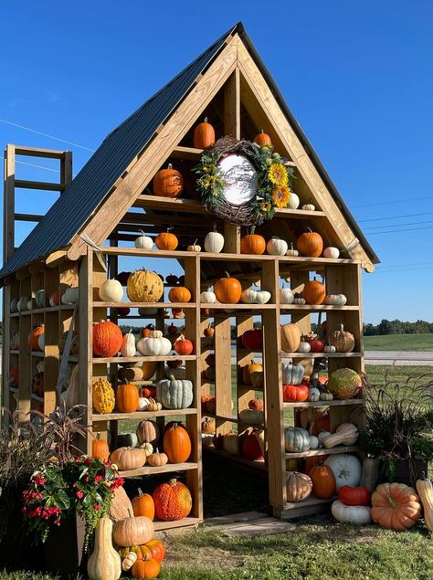 Pumpkin Patch & Family Farm in Donnellson, IA | Harvestville Farm Fall On The Farm, Pumpkin Patch Corn Maze, Pumpkin House, Patio Pots, Pumpkin Farm, Garden Veggies, Flower Festival, Fall Events, Early Winter