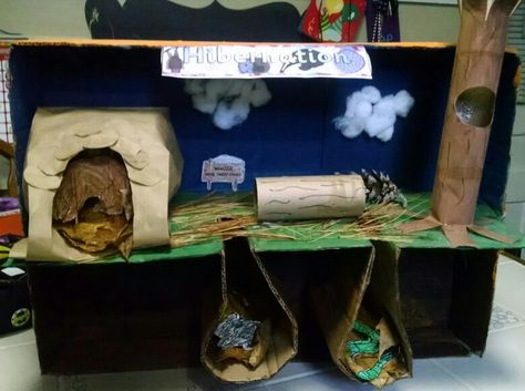 My daughter's hibernation project for school.  Raccoon in log, squirrel in tree, bear in cave, and rabbit and snake in burrows. Rabbit Habitat School Project, Hibernation Diorama, Hibernation Crafts For Toddlers, Underground Animals, Hibernation Preschool Theme, Hibernation Preschool Crafts, Bear Hibernation, Squirrel In Tree, Hibernation Crafts