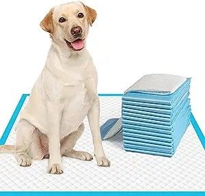 Doge bad
X large bad
Pet bad, 
Dogs Pee Pads For Dogs, Wee Wee, Puppy Pads Training, Dog Pee Pads, Honey Lavender, Potty Pads, Puppy Pads, Dog Pads, Dog Pee