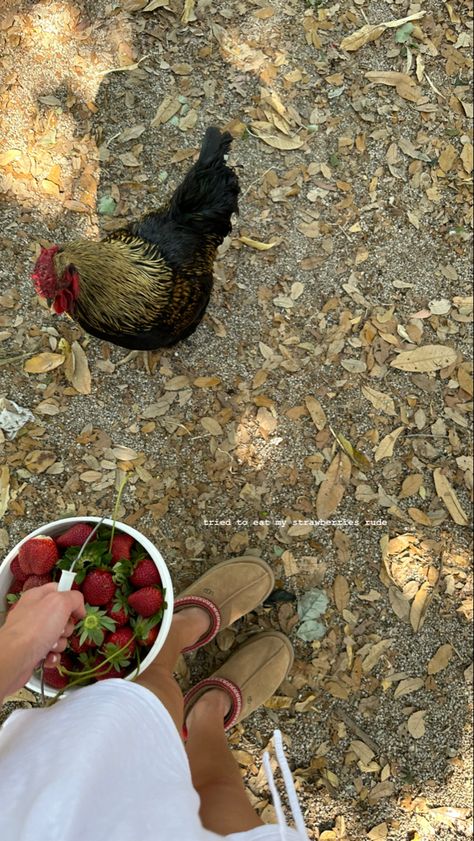 Dream Farm Aesthetic, Farm Life With Family, Organic Farm Aesthetic, English Farm Aesthetic, Rich Farm Life Aesthetic, Life On A Farm, Mini Farm Aesthetic, Family Farm Aesthetic, Farm Life Aesthetic Family