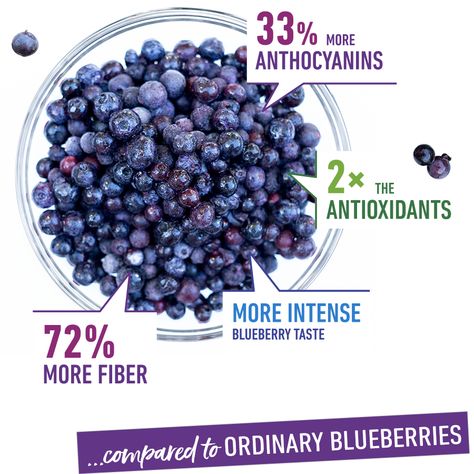 Wild Blueberry Benefits, Blueberry Benefits, Growing Blueberries, Fruit Fruit, Maine Travel, Wild Blueberries, Nutrient Dense Food, Brain Food, Coily Hair