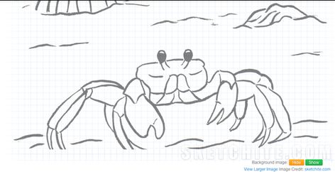 Crab Drawing Reference, Crab Pencil Drawing, Crab Sketch Drawings, Sea Crab Drawing, How To Draw A Crab, Cute Crab Drawings, Crab Drawing Simple, Hermit Crab Drawing, Marine Animals Drawing