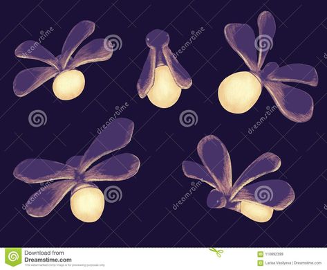 Fireflies Drawing Illustration, Firefly Illustration Drawings, How To Draw Fireflies, Lightning Bug Illustration, Glowworm Illustration, Firefly Drawing Illustration, Firefly Paintings, Fireflies Illustration, Firefly Illustration