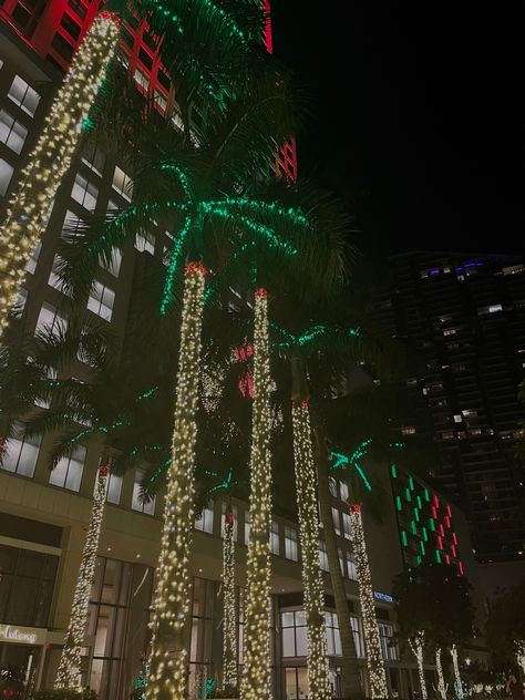 Christmas In Miami, Miami Christmas, Miami Night, Moving To Miami, Miami Outfits, Christmas In The City, Orlando Florida, Winter Aesthetic, Christmas Aesthetic