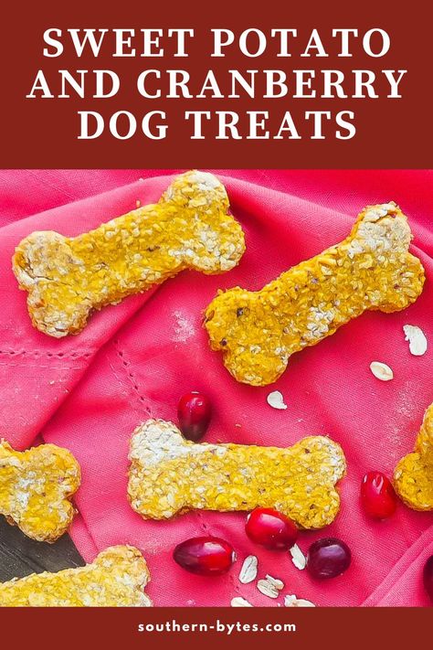 Sweet Potato, Oat, and Cranberry Dog Treats are a fun way to give your pup a safe Thanksgiving treat. They are gluten-free and are loaded with nutrients from sweet potatoes, cranberries, coconut oil, and added turmeric. Sweet Potato And Oatmeal, Oatmeal Dog Treats, Cranberry Dog Treats, Cranberry Treats, Pet Recipes, Sweet Potato Dog Treats, Easy Dog Treat Recipes, Dog Biscuit Recipes, Easy Dog Treats