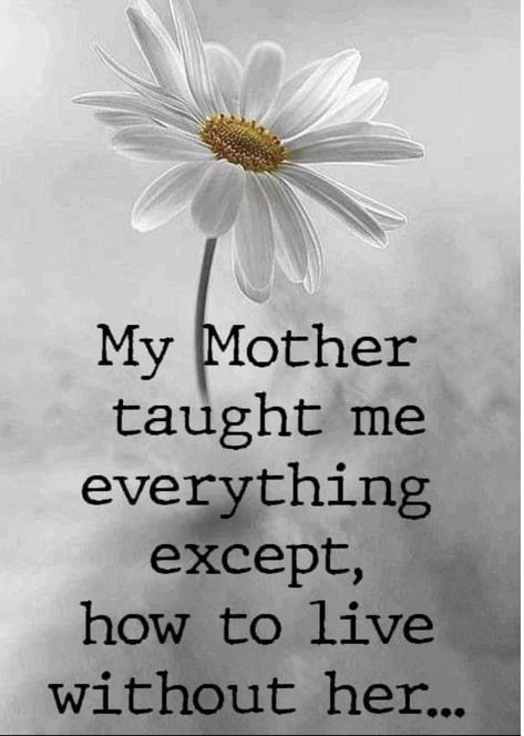 Mother Love Quotes, Miss My Mom Quotes, Quotes For Mother, Mom In Heaven Quotes, Miss You Mom Quotes, Love Of A Mother, Mom I Miss You, Quotes Mother, In Loving Memory Quotes