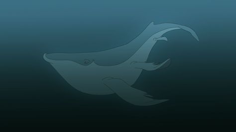 Whale swim - Animation by SwankyShadow Fish Swimming Gif, Whale Animation, Shark Gif, Swimming Gif, Cut Out Animation, Whale Species, Swimming Pictures, Dinosaur Drawing, Rest Up