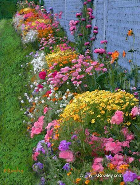 Garden Walkway, Garden Area, Wildflower Garden, The Secret Garden, Garden Borders, Cool Ideas, Gorgeous Gardens, Garden Cottage, Green Grass