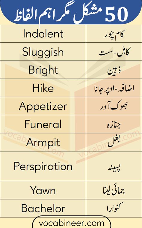 50 Most Commonly Used English Words with Urdu Meanings for beginner English learners. These Basic English words are important for the students who have just started learning English. Learn daily used important English vocabulary words with their Urdu meanings Important English Words, English Speaking Book, Simple English Sentences, Basic English Sentences, English Phrases Sentences, Phrases And Sentences, English Learning Books, English For Beginners, English Language Learning Grammar