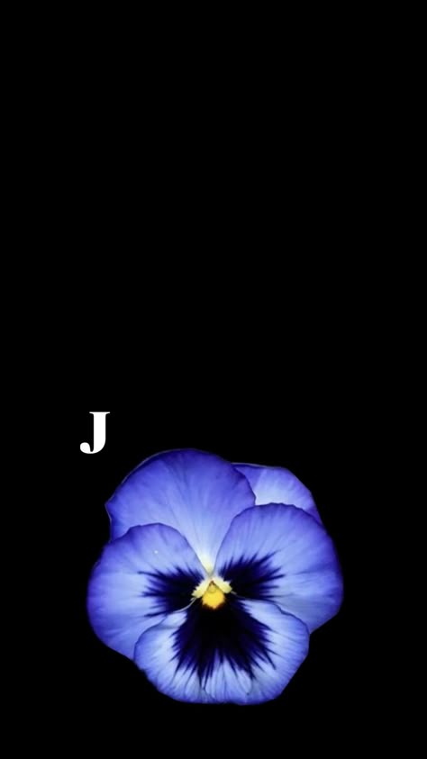 J Flower Wallpaper, J+j Wallpaper, J Wallpaper Letter, J Wallpaper, J Letter Images, J Initial, Letter Images, I Love You Baby, Letter J