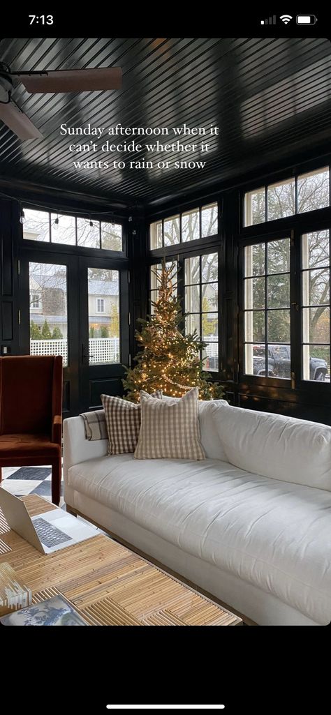 Moody Sunroom, Dark And Moody Interiors, Moody Interiors, Hearth Room, Screened In Porch, Furniture Inspiration, Outdoor Bed, Living Area, House Interior