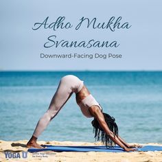 Downdog Yoga Pose, Headstand Poses, Adho Mukha Svanasana, Yoga Basics, Yin Yoga Class, Forearm Stand, Yoga Inversions, Yoga Time, Downward Facing Dog