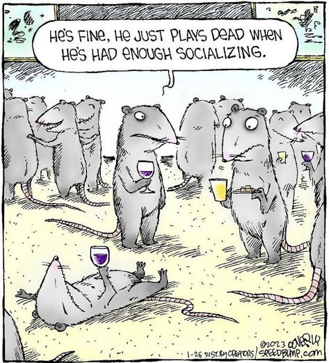 20 Witty One-Panel Comics That Reflect On Funny Snapshots Of Existence, By Dave Coverly | DeMilked Speed Bump Comic, Life Comics, Single Humor, Funny Cartoons Jokes, Speed Bump, Funny Times, Funny Images Laughter, Human Behavior, Fun Comics