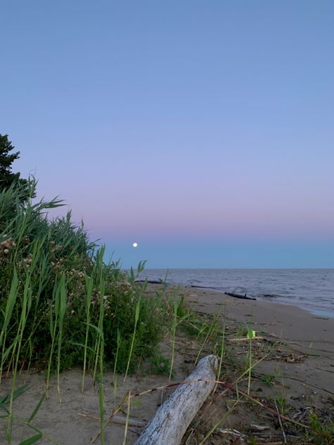 Supermoon at sunrise on lake huron November Witch, Sunrise Tattoo, Filipino House, Lavender Latte, Wooden Ceiling Design, Living Room Decor Colors, Interior Design Themes, Nature Color Palette, Lake Huron