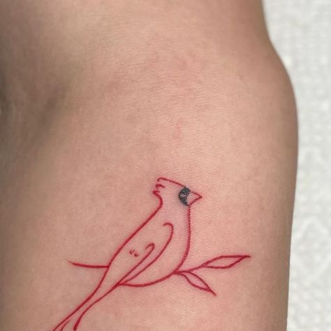 SavG Ink on Instagram: "Check out this lil guy #cardinaltattoo" Geometric Cardinal Tattoo, Cute Cardinal Drawing, Cardinal Tattoo Fine Line, Kami Tattoo, Small Cardinal Tattoos For Women, Minimalist Cardinal Tattoo, Simple Cardinal Tattoo, Tiny Cardinal Tattoo, Red Cardinal Tattoo