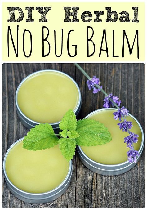 Get my recipe for this DIY herbal no bug balm made with lemon balm and other herbs and flowers. It's easy to make and keeps the bugs away! Homemade Salve, Salve Recipes, Herbal Remedies Recipes, Herbal Salves, Herbal Recipes, Natural Healing Remedies, Herbs And Flowers, Diy Remedies, Homemade Remedies