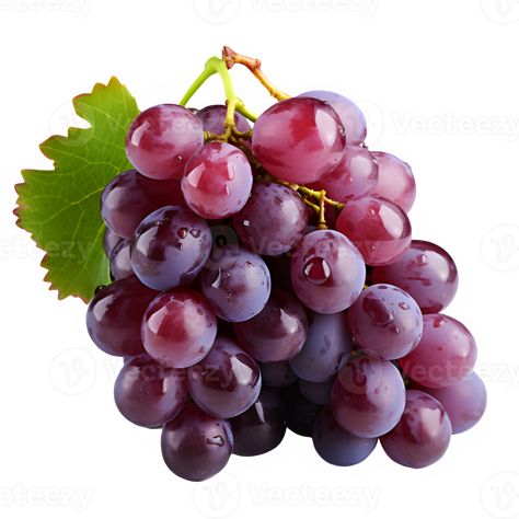 Grapes Clipart, Grape Drawing, Free Cartoon Characters, Thanksgiving Background, Fruit Clipart, Food Artwork, Fruit Photography, Wedding People, Cityscape Photos