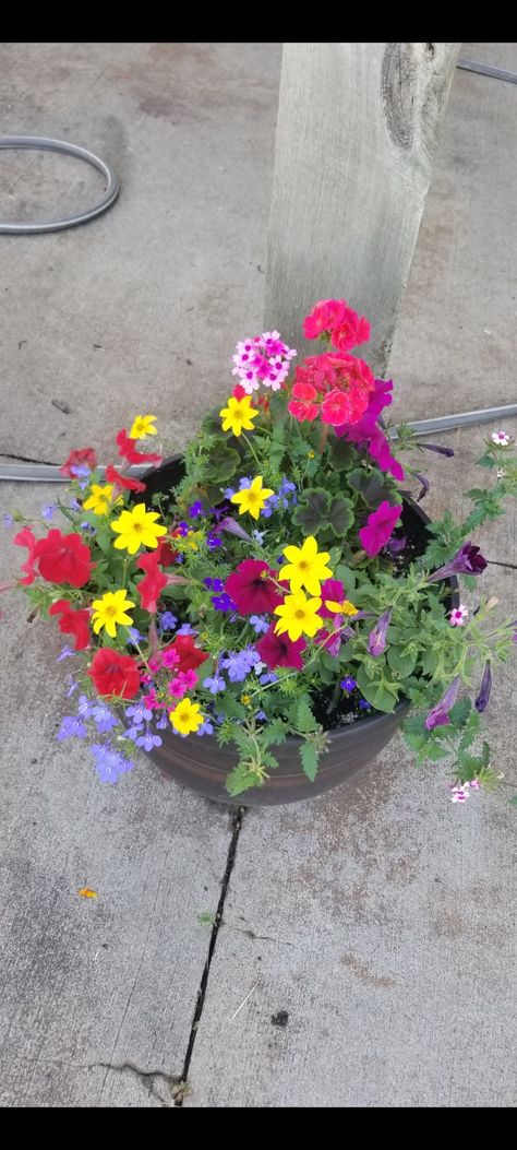 Flower Pots Ideas, Pots Ideas, Flower Pots, Flowers