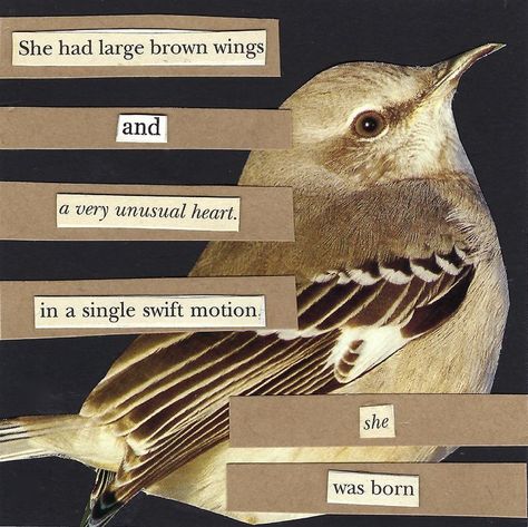 Bird, animals - Found Poetry: She had large brown wings and a very unsual heart, in a single swift motion, she was born - Mini Composition 752 Wings Aesthetics, Bird Poetry, Found Poetry, Wings Art, Bird Wings, Swift, Sketch Book, Motion, Poetry