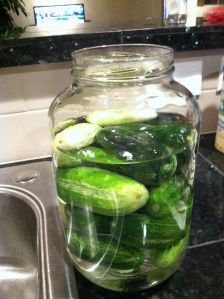 Half-Sours — Serious Deli-style Kosher Dill Pickles | Cheffzilla’s Kitchen Deli Pickles Recipe, Kosher Pickles, Kosher Dill Pickles, Dill Pickle Recipe, Homemade Ham, Jewish Deli, Sour Pickles, Canning Pickles, Fermented Pickles