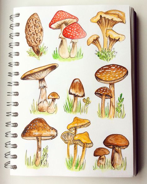 Watercolour Mushroom, Mushrooms Illustration, Mushroom Illustrations, Mushroom Paint, Mushroom Drawing, Watercolor Journal, Watercolour Inspiration, Gouache Art, Watercolor Art Lessons