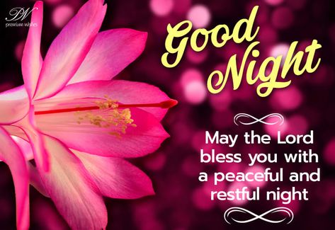 Good Night God Bless You, Good Night God Bless, Goodnight Blessings, Good Night Msg, Love Good Night, Kisses Quotes, Goodnight Messages, Goodnight Wishes, Tuesday Blessings