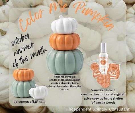 I can't wait for the October Warmer of the Month! It's the perfect piece to add to your fall decor, with the added bonus of having your house smell amazing 😍 #scentsy #fall #falldecor #pumpkin https://jennanovak.scentsy.us Pumpkin Home Decor, Scentsy Fall, Candle Wax Warmer, Scentsy Bar, Selling Scentsy, Scent Warmers, Scentsy Consultant Ideas, Scentsy Business, Scentsy Party