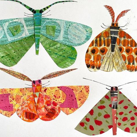 Clare Youngs on Instagram: "Making moths. I had to let #the100dayproject go a while back as other things took over. But I may join in for the last few days to explore #100daysofcolourandpatterninthewild" Butterfly Collage Art Paper Crafts, Moth Craft For Kids, Butterfly Collage Art, Nature Collage Art, Collage Butterflies, Collage For Kids, Insect Art Projects, Clare Youngs, Insects Art