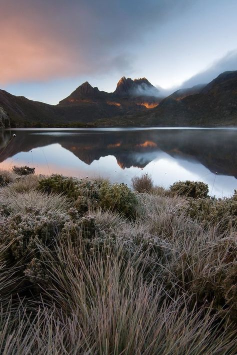 Frozen valey, Cradle Mountain Cradle Mountain Tasmania, Tasmania Road Trip, Cradle Mountain, Mountain Love, Mountain Lake, Australia Travel, Tasmania, Most Beautiful Places, Outdoor Adventure