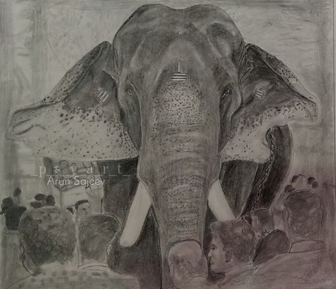 Kerala biggest eliphante graphite pencil drawing Kerala Elephant Drawing, Kerala Elephant, Elephant Art Drawing, Easy Elephant Drawing, Elephant Outline, Elephant Sketch, Elephant Photography, Pencil Drawing Images, Rajasthani Art