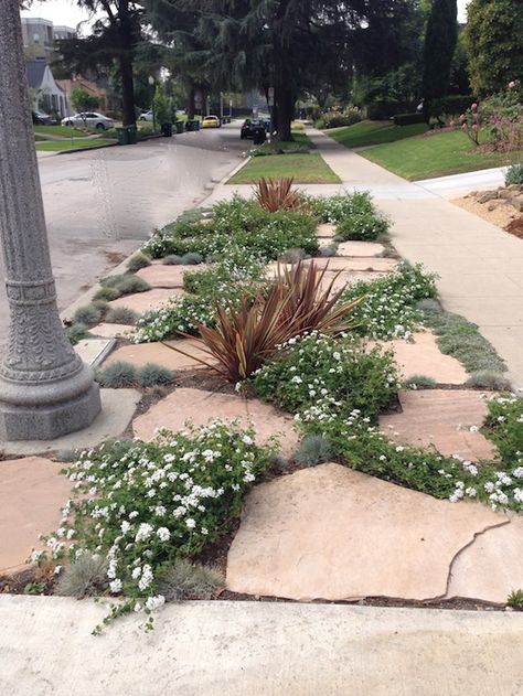 Sidewalk Landscaping, Garden Landscaping Ideas, Pathway Landscaping, Front Garden Landscape, Drought Tolerant Landscape, Front Landscaping, Garden Plans, Rock Garden Landscaping, Landscape Designs